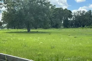 14854 NE Jacksonville Rd, Citra, FL 32113 - Photo 3