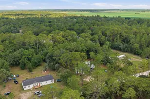 2290 SE 141 Ave, Morriston, FL 32668 - Photo 29