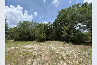 2793 W Waycormon Court, Dunnellon, FL 34433 - Photo 5