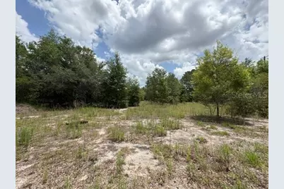 2793 W Waycormon Court, Dunnellon, FL 34433 - Photo 11