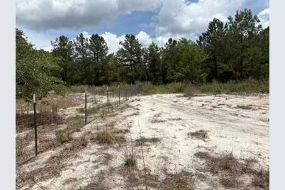 2793 W Waycormon Court, Dunnellon, FL 34433 - Photo 9