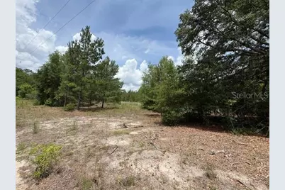 2793 W Waycormon Court, Dunnellon, FL 34433 - Photo 13