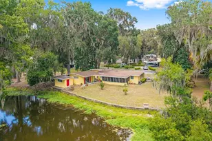 2345 Co Rd 453, Lake Panasoffkee, FL 33538 - Photo 3