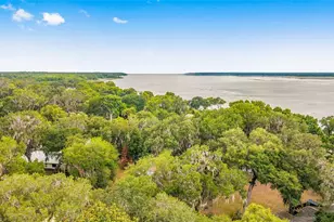 2345 Co Rd 453, Lake Panasoffkee, FL 33538 - Photo 59