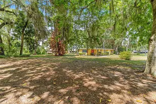2345 Co Rd 453, Lake Panasoffkee, FL 33538 - Photo 53