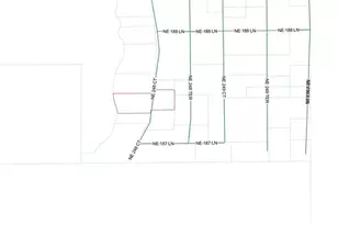 18811 NE 248th Terrace, Fort Mc Coy, FL 32134 - Photo 31