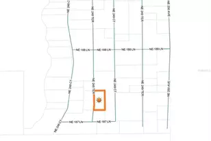 18811 NE 248th Terrace, Fort Mc Coy, FL 32134 - Photo 33