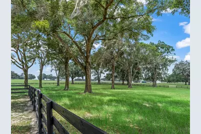12941 SW 8th Avenue, Ocala, FL 34473 - Photo 13