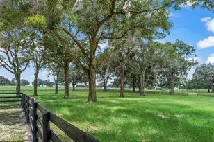 12941 SW 8th Ave, Ocala, FL 34473 - Photo 13