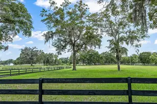 12941 SW 8th Ave, Ocala, FL 34473 - Photo 9