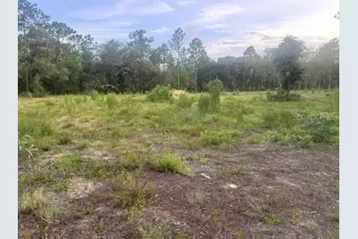 Vacant Land SW Mineola Lane, Dunnellon, FL 34431 - Photo 3