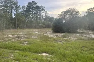 Vacant Land SW Mineola Ln, Dunnellon, FL 34431 - Photo 1