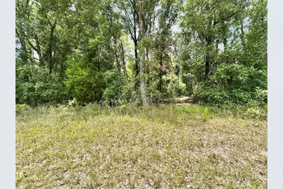 County Road 349 N., O'Brien, FL 32071 - Photo 15