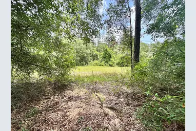County Road 349 N., O'Brien, FL 32071 - Photo 3