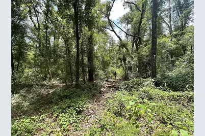 County Road 349 N., O'Brien, FL 32071 - Photo 11