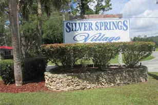 2300 SE 173rd Ave, Silver Springs, FL 34488 - Photo 33