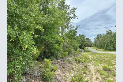 9191 NE 80th Street, Bronson, FL 32621 - Photo 5