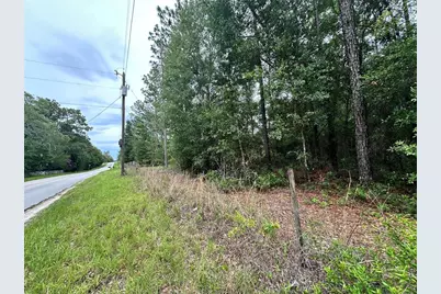 Tbd NE 65th Lane, Bronson, FL 32621 - Photo 3