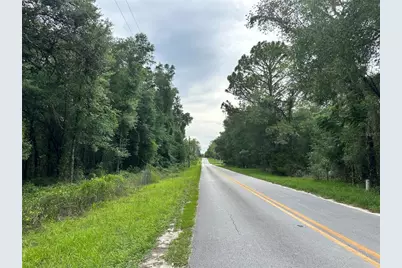 Tbd NE 65th Lane, Bronson, FL 32621 - Photo 11