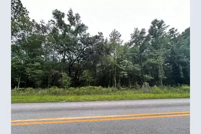 Tbd NE 65th Lane, Bronson, FL 32621 - Photo 1