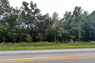 Tbd NE 65th Ln, Bronson, FL 32621 - Photo 1