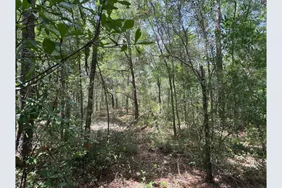 Tbd SW 59th Lane, Dunnellon, FL 34431 - Photo 3