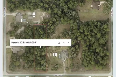 Tbd SW 59th Lane, Dunnellon, FL 34431 - Photo 5