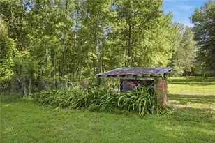 17900 NW 120th Ave Rd, Reddick, FL 32686 - Photo 31