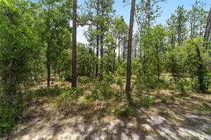 7035 SW 136th Court Rd, Ocala, FL 34481 - Photo 31