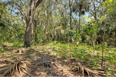0000 Cummer Road, Deland, FL 32720 - Photo 7