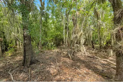 0000 Cummer Road, Deland, FL 32720 - Photo 3