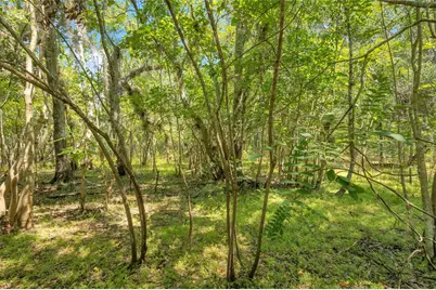 0000 Cummer Road, Deland, FL 32720 - Photo 5
