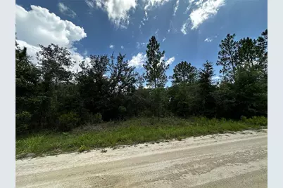 12930 NE 15th Street, Williston, FL 32696 - Photo 9