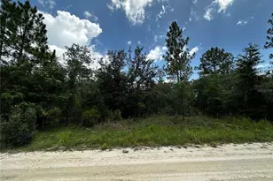 12930 NE 15 St, Williston, FL 32696 - Photo 1