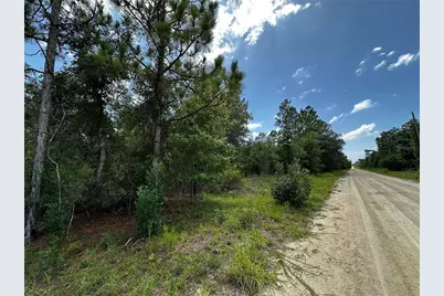 12930 NE 15th Street, Williston, FL 32696 - Photo 7
