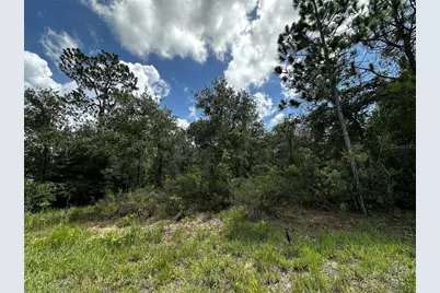 12930 NE 15th Street, Williston, FL 32696 - Photo 3