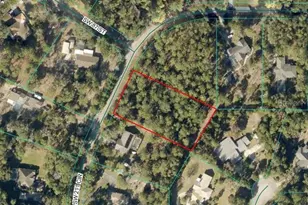 Tbd Lot 5 SW 211th Circle, Dunnellon, FL 34431 - Photo 1