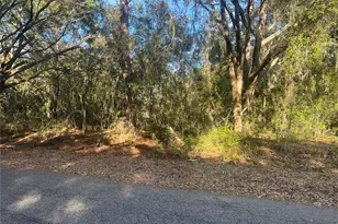 Guava Terrace, Ocklawaha, FL 32179 - Photo 1