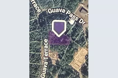 Guava Terrace, Ocklawaha, FL 32179 - Photo 3
