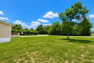 13817 NE 54 Pl, Williston, FL 32696 - Photo 3