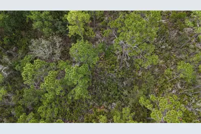 Lots 8,9,15 00 Adams Beach Road, Perry, FL 32348 - Photo 15