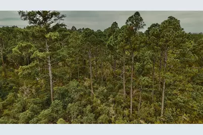 Lots 8,9,15 00 Adams Beach Road, Perry, FL 32348 - Photo 17