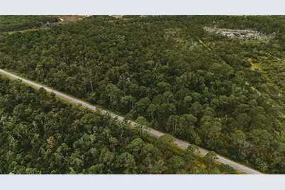 Lots 8,9,15 00 Adams Beach Road, Perry, FL 32348 - Photo 7
