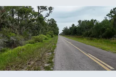 Lots 8,9,15 00 Adams Beach Road, Perry, FL 32348 - Photo 9
