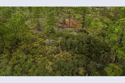 Lots 8,9,15 00 Adams Beach Road, Perry, FL 32348 - Photo 13