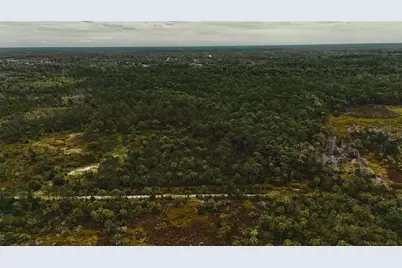 Lots 8,9,15 00 Adams Beach Road, Perry, FL 32348 - Photo 11