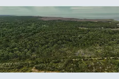 Lots 8,9,15 00 Adams Beach Road, Perry, FL 32348 - Photo 5