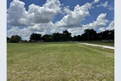 Nw 131 Street, Reddick, FL 32686 - Photo 3