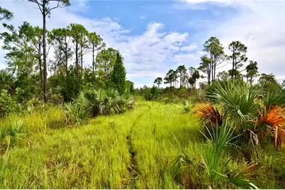 00 Lots 18,19 Adams Beach Road, Perry, FL 32348 - Photo 5