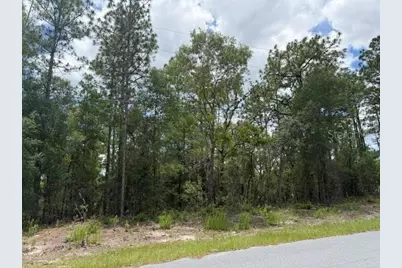 1982 W Roseboro Drive, Dunnellon, FL 34434 - Photo 3